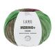Lang Yarns Merino+ Color - 202 bordeau-groen-roze