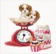 Borduurpakket Cupcake puppy - Thea Gouverneur