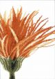 Borduurpakket Close-up Oranje bloem - Lanarte