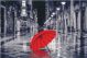 Borduurpakket Red Umbrella - Golden Fleece Ltd