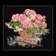 Borduurpakket Mand met roze Hortensia Black Collection - Thea Gouverneur