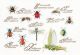 Borduurpakket Insectenpaneel Aida - Thea Gouverneur