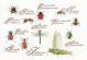 Borduurpakket Insectenpaneel Linnen - Thea Gouverneur