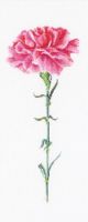 Borduurpakket Roze Anjer (Carnation Pink) Linnen - Thea Gouverneur