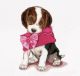 Borduurpakket Puppy Love - Thea Gouverneur