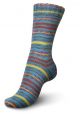 Regia sokkenwol by Arne & Carlos - 3822 Bykle color