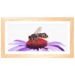 Borduurpakket Honingbij op bloem - Thea Gouverneur