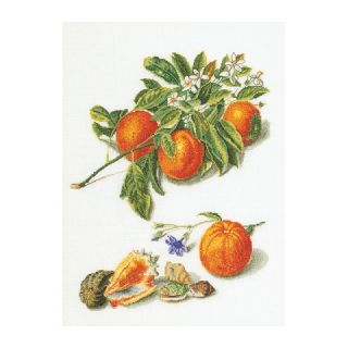 Borduurpakket Sinaasappels en Mandarijnen Aida - Thea Gouverneur