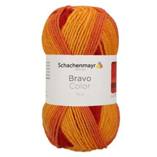 Schachenmayr Bravo Color 2139 - Neutral color