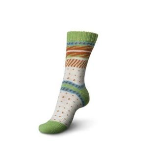 Regia sokkenwol Pairfect by Arne & Carlos - kollen color 9095