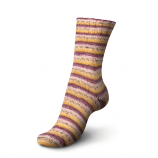 Regia sokkenwol Tutti Frutti katoen - 2425